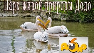 экскурсия в детский парк до до 