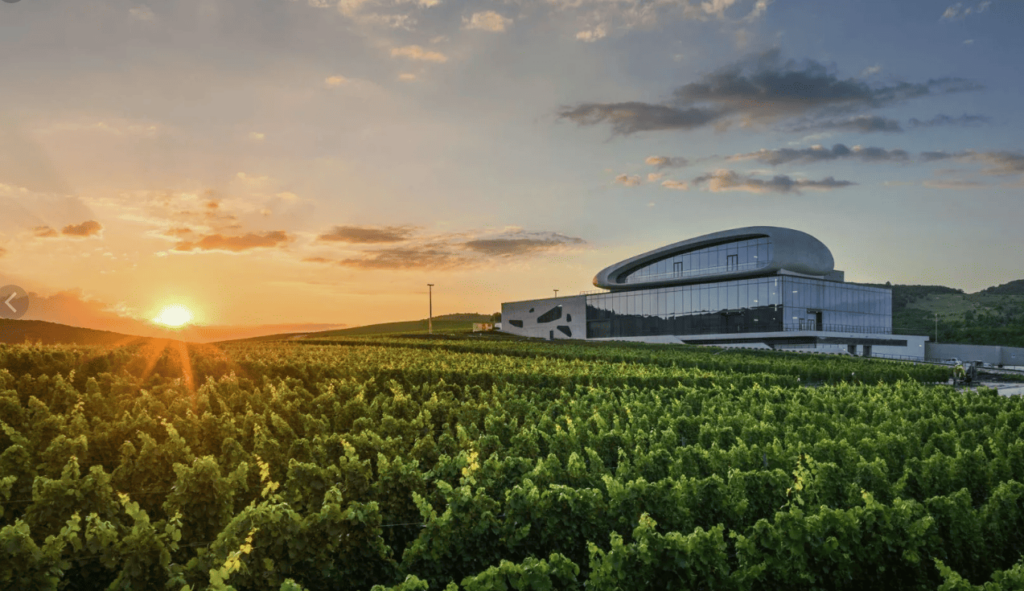 индивидуальная экскурсия из анапы в винодельню скалистый берег