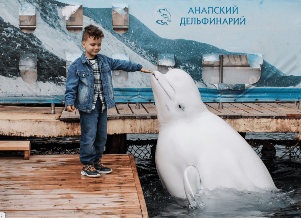 экскурсия с гидом в дельфинарий утриш анапа
